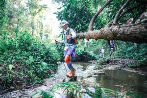 BIB: 
                            <button type="button" onclick="openModal(25433958)" class="btn btn-primary btn-sm float-right btn-popup" data-toggle="modal" data-target=".modal-high-quality">
                        <i class="fas fa-shopping-cart"></i> Add to Cart
                    </button>
                                            <button type="button" onclick="isThisMe(25433958, true)" class="btn btn-success btn-sm float-right btn-popup btn-isme hidden" data-toggle="tooltip" data-placement="bottom" title="นี่คือรูปของคุณใช่ไหม คลิกที่นี่เพื่อเอาเข้าอัลบั้ม">
                        <i class="fas fa-plus"></i> Add to album
                    </button>
                    <button type="button" onclick="isThisMe(25433958, false)" class="btn btn-warning btn-sm float-right btn-popup btn-isnotme hidden">
                        <i class="fas fa-ban"></i> Remove from album
                    </button>